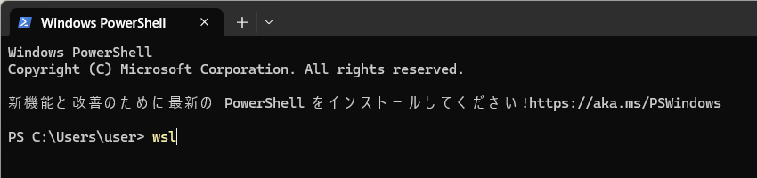 terminal_wsl_start.png